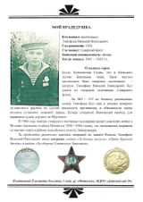 Тимофеев  Николай Николаевич